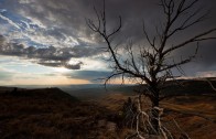 Wyoming Wildscapes