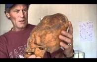 Enormous Cone Head Of Paracas Peru: Lost Human History Revealed