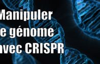 Modifier le génome avec CRISPR — Science étonnante #18